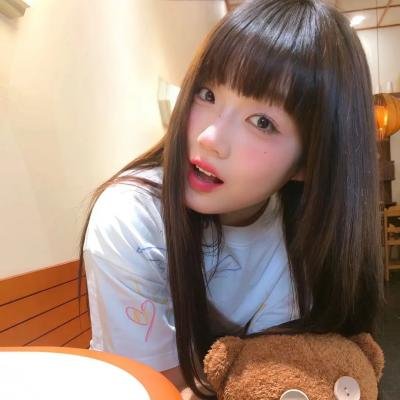 完美的独裁国家